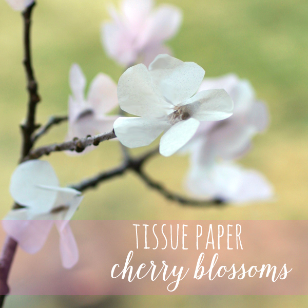 tissue paper cherry blossoms