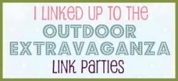 Kitchen Container Potager + Outdoor Extravaganza Link Party