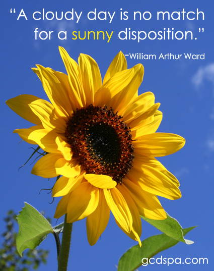 "a cloudy day is no match for a sunny disposition"