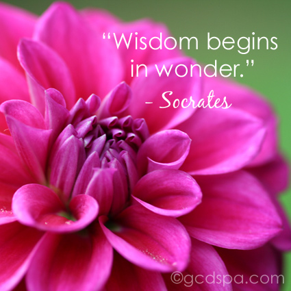 wisdom and wonder