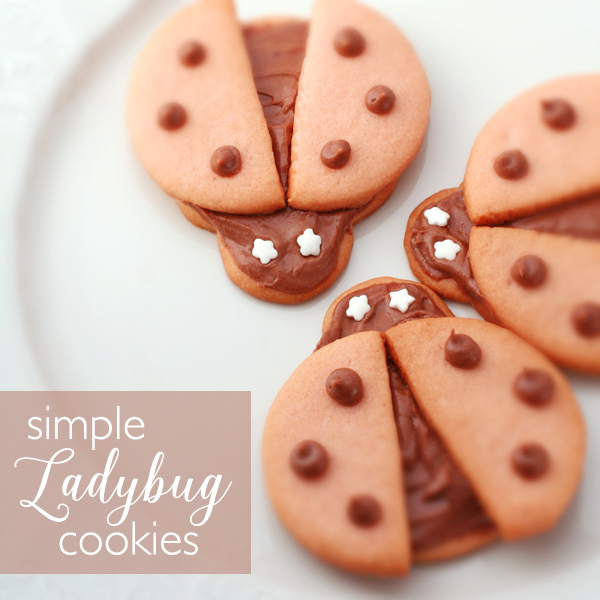 simple ladybug cookies