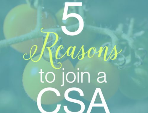 5 Reasons to Join a CSA