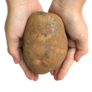 potato-hands