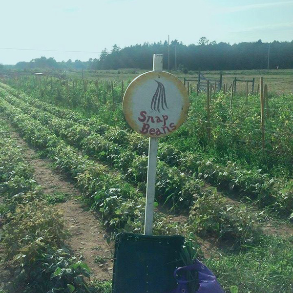 join a csa for the u-pick field