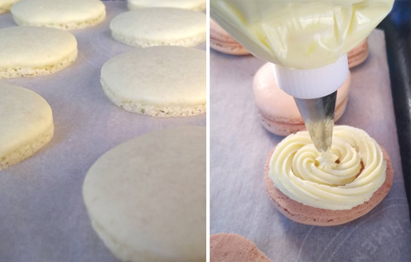 baked and filled lemon macarons