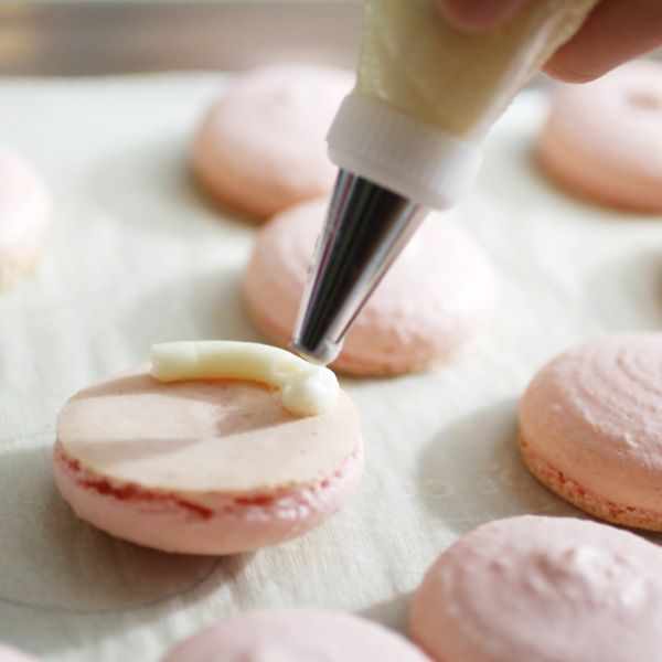 macarons with piped buttercream