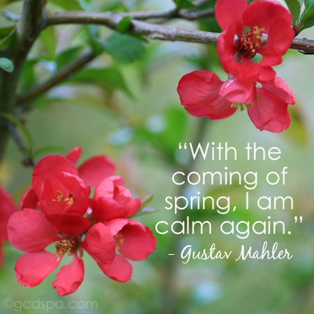 calm spring quote